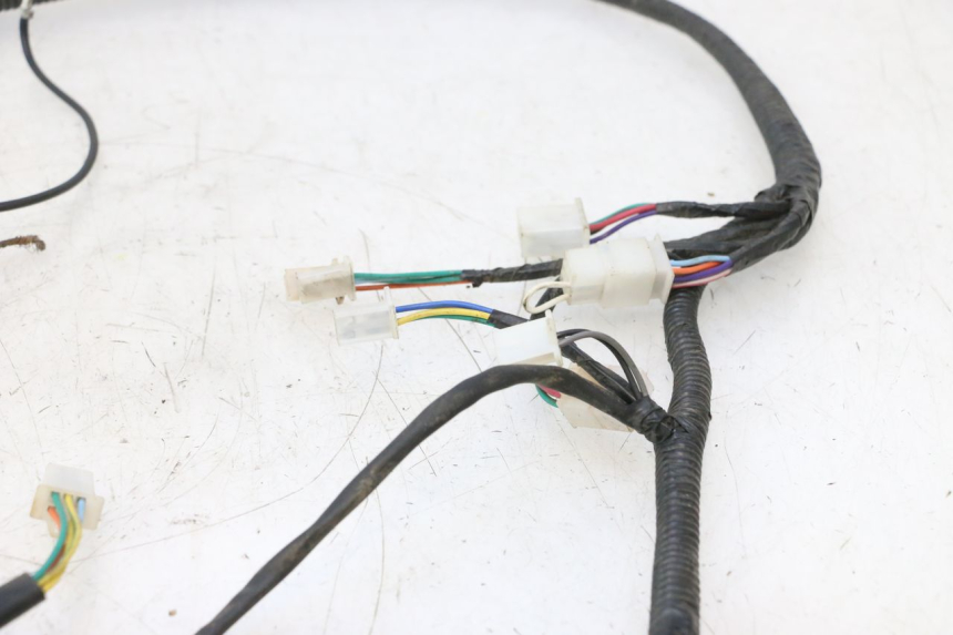 photo de FAISCEAU TNT MOTOR ROMA 12' 2T 50 (2007 - 2018) - Zoom composants