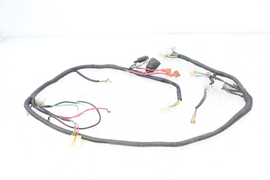 photo de FAISCEAU TNT MOTOR ROMA 12' 2T 50 (2007 - 2018) - Autre angle de vue