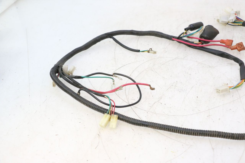 photo de FAISCEAU TNT MOTOR ROMA 12' 2T 50 (2007 - 2018) - Gros plan technique