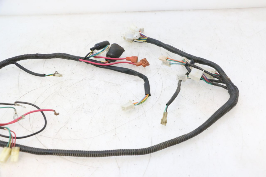 photo de FAISCEAU TNT MOTOR ROMA 12' 2T 50 (2007 - 2018) - Vue d’ensemble