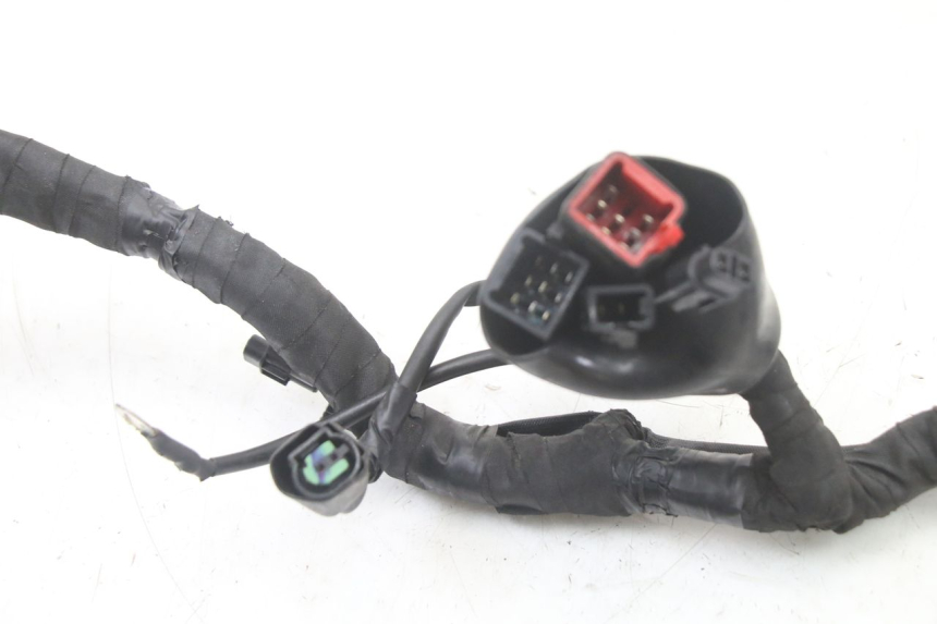 photo de FAISCEAU ROYAL ENFIELD HYMALAYAN 410 (2016 - 2023) - Vue rapprochée