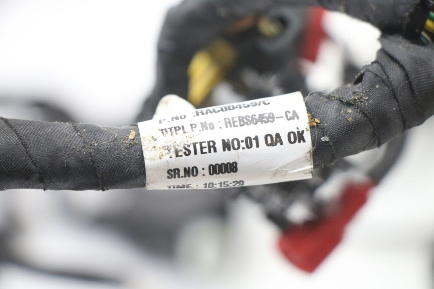 photo de FAISCEAU ROYAL ENFIELD HYMALAYAN 410 (2016 - 2023) - Focus structure