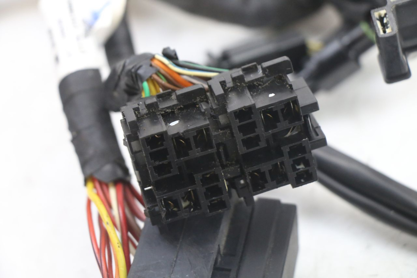 photo de FAISCEAU ROYAL ENFIELD HYMALAYAN 410 (2016 - 2023) - Autre angle de vue