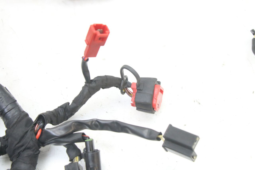 photo de FAISCEAU ROYAL ENFIELD HYMALAYAN 410 (2016 - 2023) - Gros plan technique