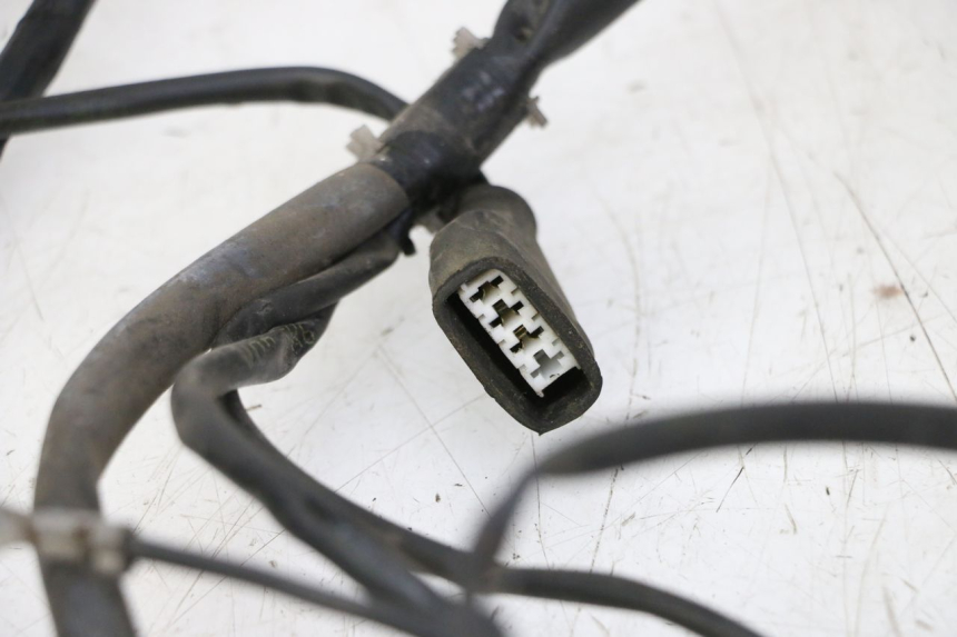 photo de FAISCEAU GILERA RUNNER SP 50 (2009 - 2017) - Vue d’ensemble