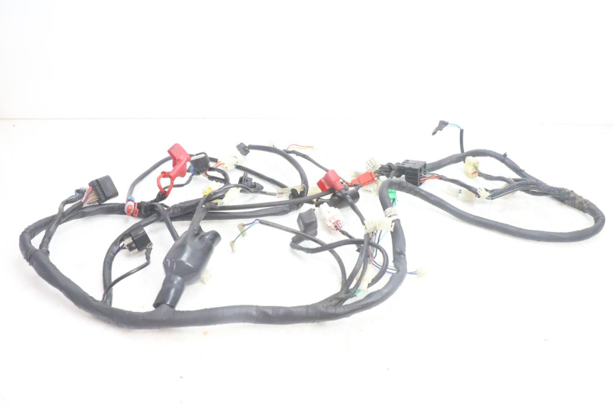 photo de FAISCEAU JM MOTORS SANTANA EVO 50 (2024 - 2026) - Vue principale