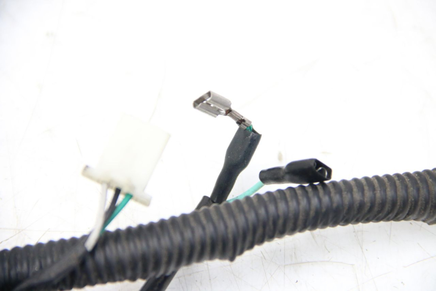 photo de FAISCEAU JM MOTORS SANTANA 50 (2014 - 2023) - Détail de la pièce