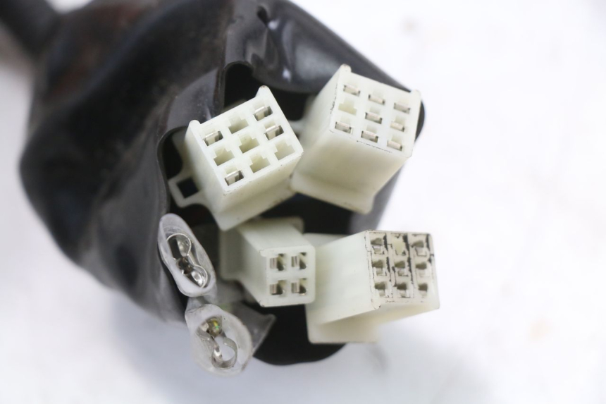 photo de FAISCEAU JM MOTORS SANTANA 50 (2014 - 2023) - Détail de la pièce