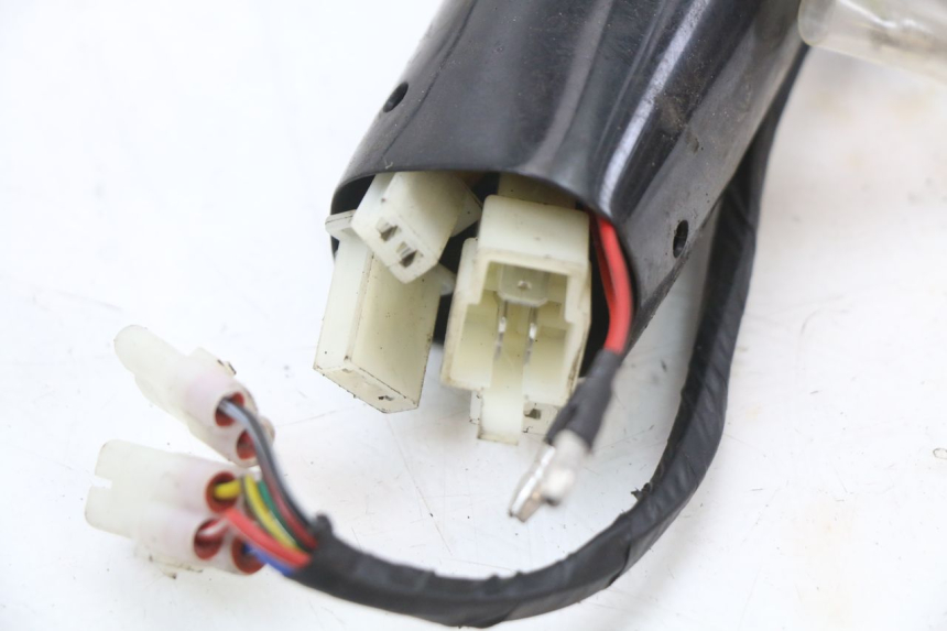 photo de FAISCEAU JM MOTORS SANTANA 50 (2014 - 2023) - Pièce contrôlée