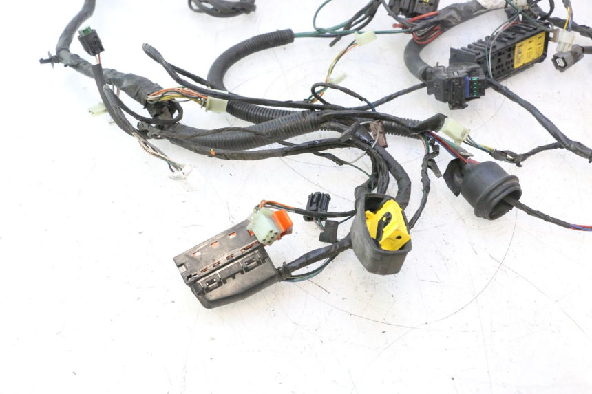 photo de FAISCEAU PEUGEOT SATELIS 125 (2006 - 2009) - Gros plan technique