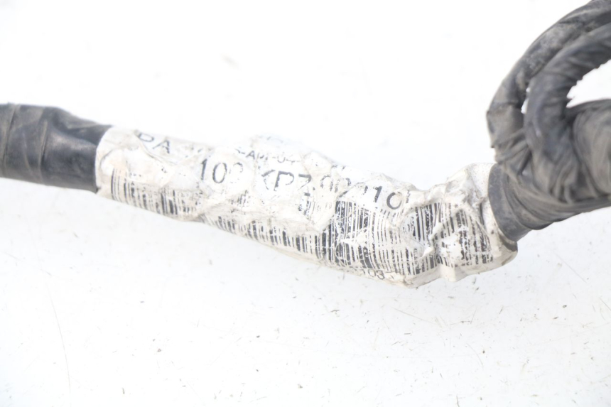 photo de FAISCEAU HONDA SES DYLAN 125 (2002 - 2006) - Détail de la pièce