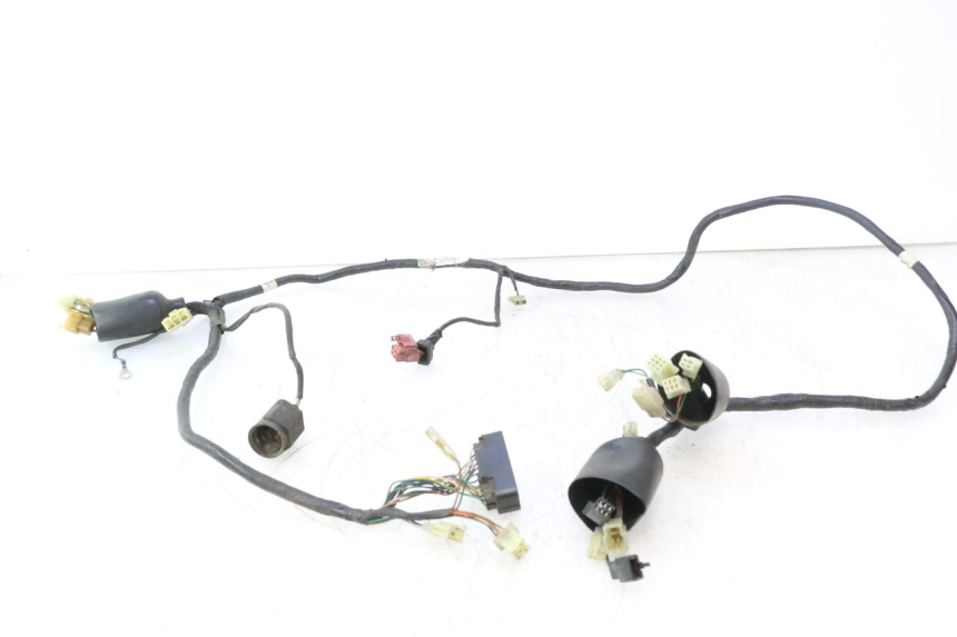photo de FAISCEAU HONDA SH 125 (2001 - 2003) - Vue d’ensemble