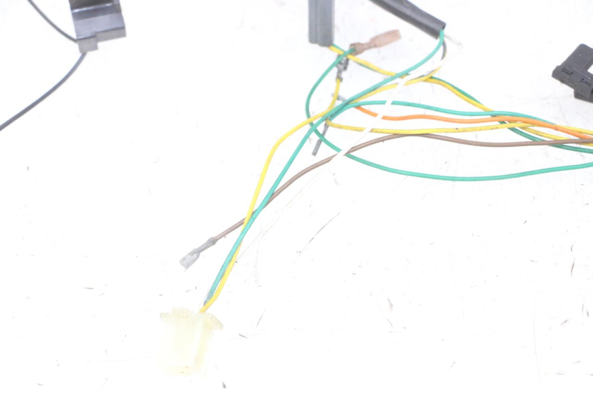 photo de FAISCEAU PEUGEOT SPEEDFIGHT 2 LC 50 (2000 - 2009) - Marquages et références