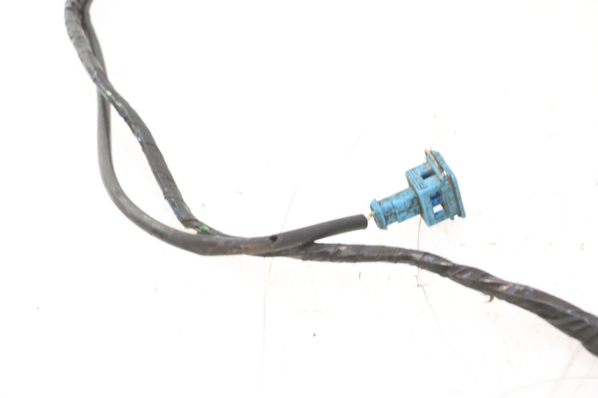 photo de FAISCEAU PEUGEOT SPEEDFIGHT LC 50 (1996 - 2002) - Gros plan technique