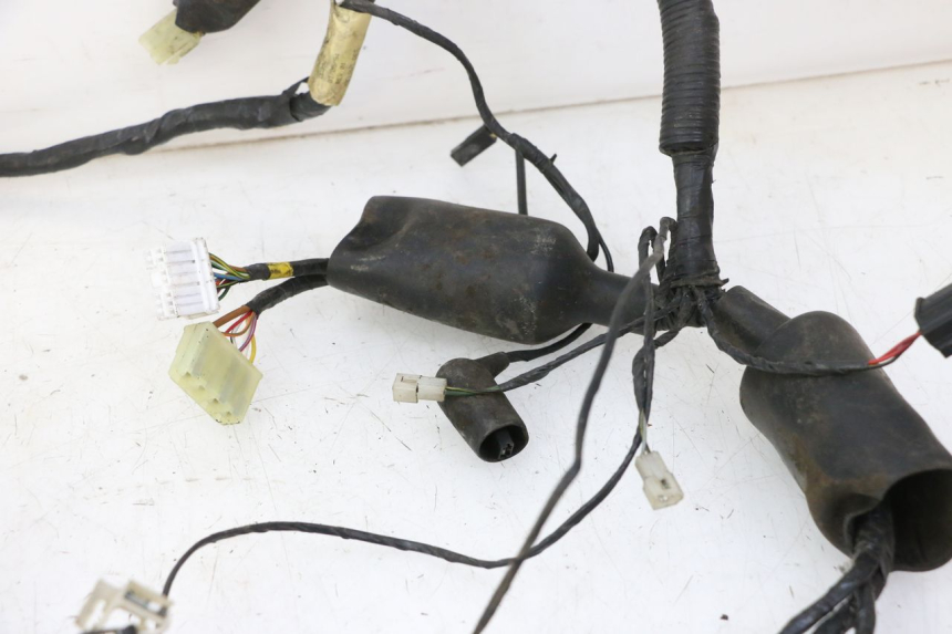 photo de FAISCEAU TRIUMPH SPRINT 900 (1995 - 1998) - Inspection visuelle