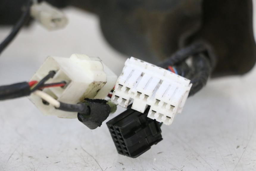 photo de FAISCEAU TRIUMPH SPRINT 900 (1995 - 1998) - Focus structure