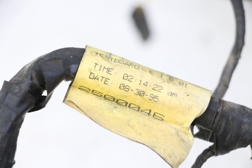 photo de FAISCEAU TRIUMPH SPRINT 900 (1995 - 1998) - Autre angle de vue