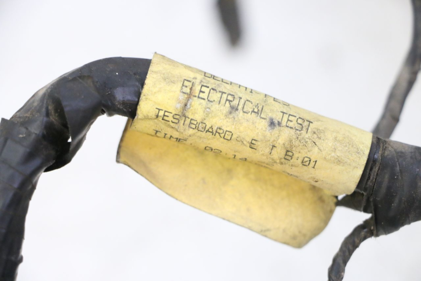 photo de FAISCEAU TRIUMPH SPRINT 900 (1995 - 1998) - Gros plan technique