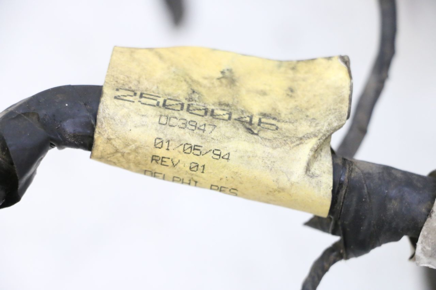 photo de FAISCEAU TRIUMPH SPRINT 900 (1995 - 1998) - Vue d’ensemble