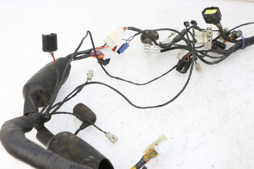 photo de FAISCEAU TRIUMPH SPRINT 900 (1995 - 1998) - Pièce contrôlée