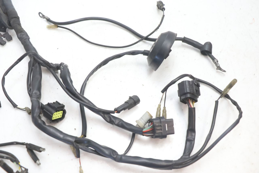 photo de FAISCEAU DUCATI SS IE DS CARENEE 1000 (2002 - 2006) - Détail de la pièce