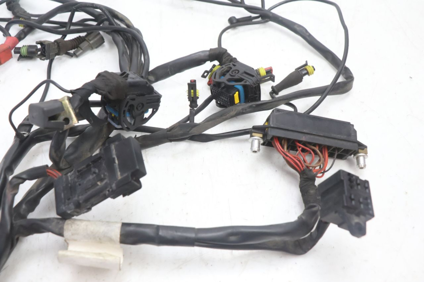 photo de FAISCEAU DUCATI SS IE DS CARENEE 1000 (2002 - 2006) - Gros plan technique