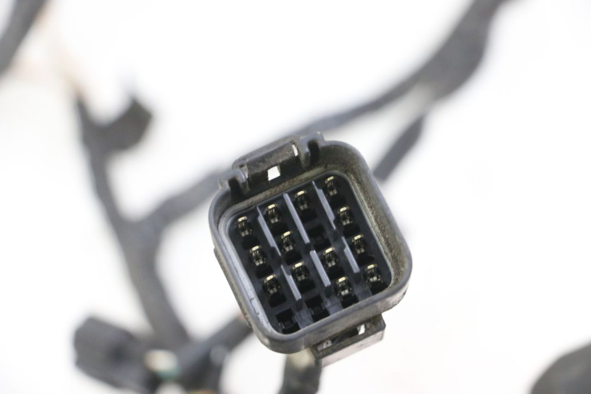 photo de FAISCEAU SUZUKI GSX F GSXF 650 (2007 - 2015) - Vue d’ensemble