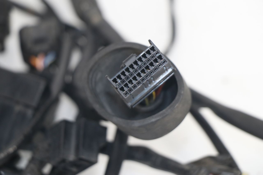 photo de FAISCEAU SUZUKI XF FREEWIND 650 (1997 - 2003) - Autre angle de vue