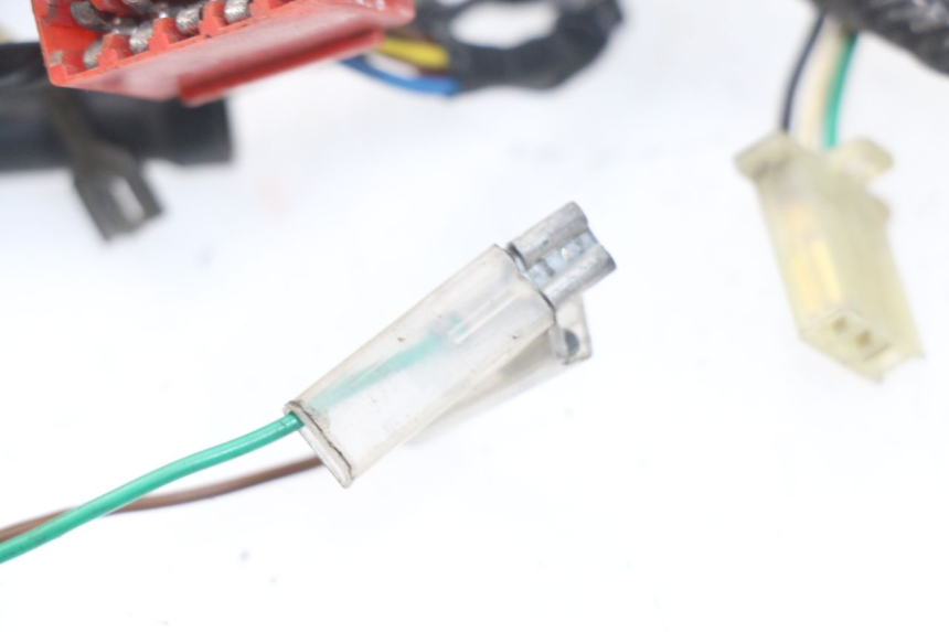 photo de FAISCEAU PEUGEOT SV 50 (1992 - 2004) - Zoom état d’usage