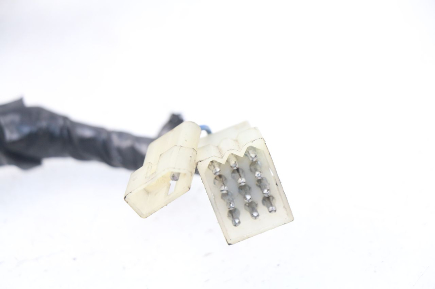 photo de FAISCEAU PEUGEOT SV 50 (1992 - 2004) - Vue d’ensemble