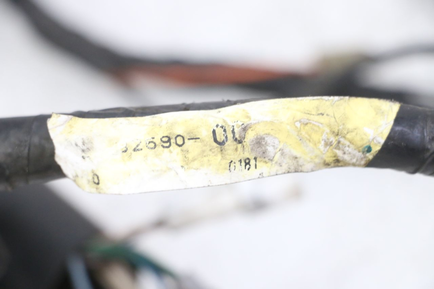 photo de FAISCEAU YAMAHA TDR DELTABOX 125 (1997 - 2003) - Vue d’ensemble