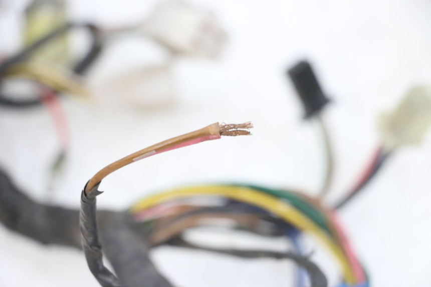 photo de FAISCEAU YAMAHA TDR DELTABOX 125 (1997 - 2003) - État de surface