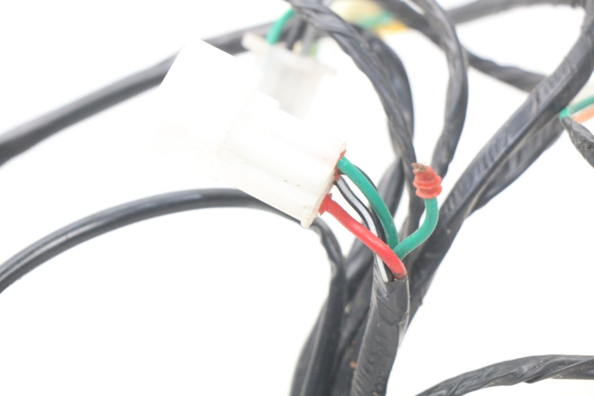 photo de FAISCEAU BAOTIAN TRAVEL SPIRIT 50 (2010 - 2012) - Détail de la pièce