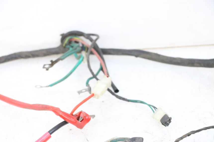 photo de FAISCEAU PEUGEOT TWEET PRO CARGO 50 (2018 - 2022) - Vue d’ensemble