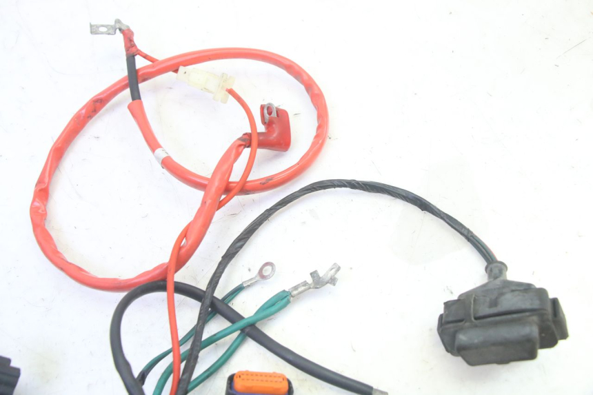 photo de FAISCEAU PEUGEOT TWEET PRO EFI 4T 50 (2021 - 2022) - Vue d’ensemble