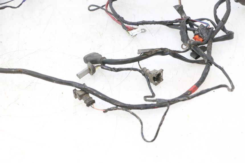 photo de FAISCEAU PIAGGIO VESPA LX 2T 50 (2005 - 2013) - Vue d’ensemble