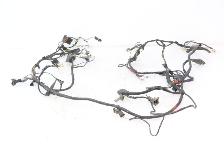 photo de FAISCEAU PIAGGIO VESPA LX 2T 50 (2005 - 2013) - Marquages et références