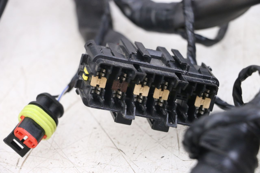 photo de FAISCEAU PIAGGIO VESPA PRIMAVERA 4T 50 (2021 - 2024) - Points de fixation