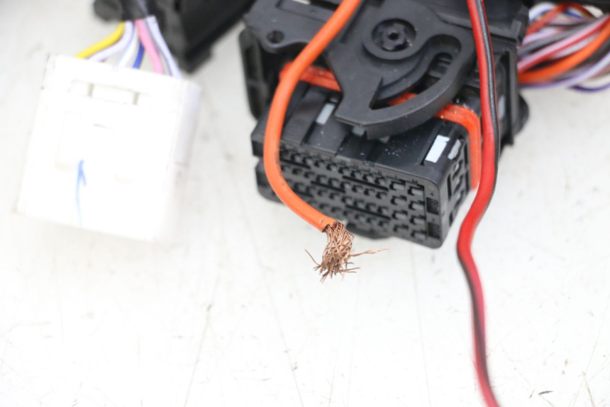 photo de FAISCEAU PIAGGIO VESPA PRIMAVERA 4T 50 (2021 - 2024) - Pièce contrôlée