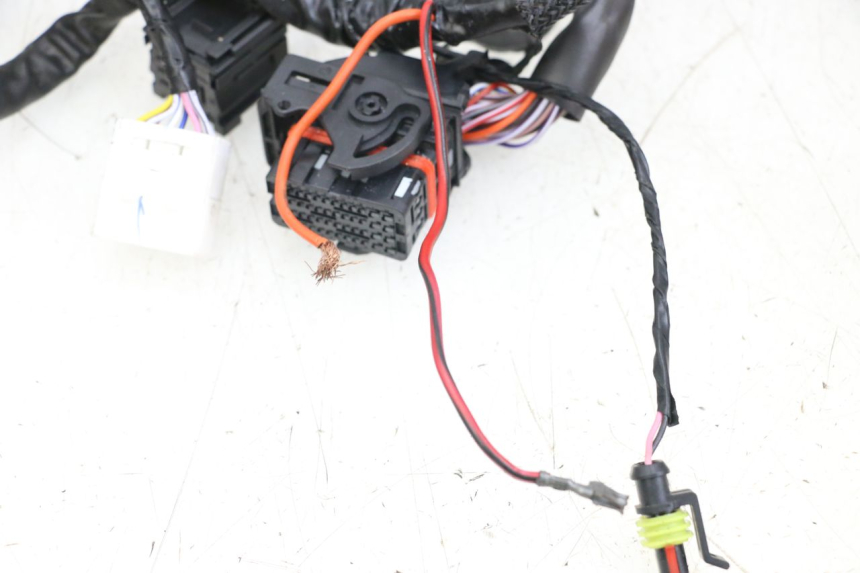 photo de FAISCEAU PIAGGIO VESPA PRIMAVERA 4T 50 (2021 - 2024) - Marquages et références