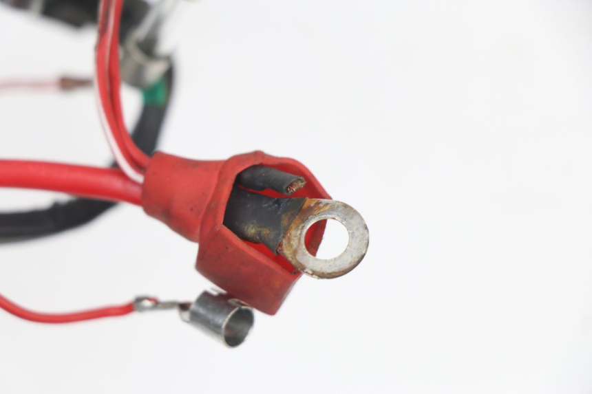 photo de FAISCEAU JM MOTORS VIPER 4T 50 (2015 - 2022) - Autre angle de vue