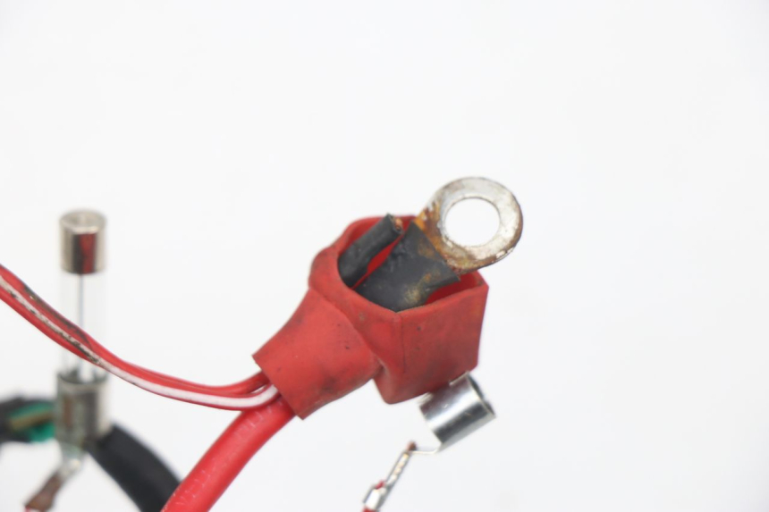 photo de FAISCEAU JM MOTORS VIPER 4T 50 (2015 - 2022) - Gros plan technique