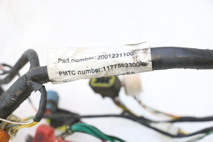 photo de FAISCEAU PEUGEOT VIVACITY NEW 2T 50 (2008 - 2017) - Détail de la pièce