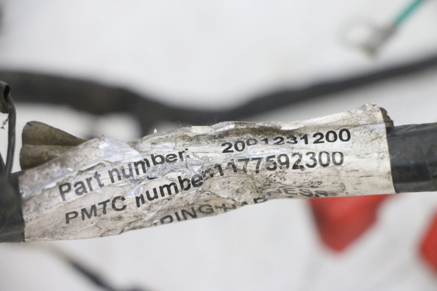 photo de FAISCEAU PEUGEOT VIVACITY NEW 4T 50 (2008 - 2017) - Détail de la pièce