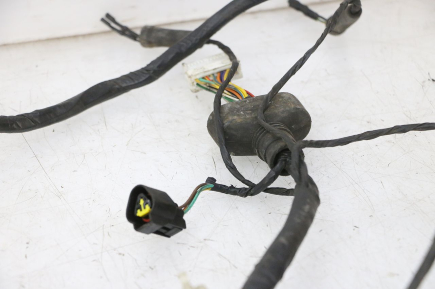 photo de FAISCEAU PEUGEOT VIVACITY NEW 4T 50 (2008 - 2017) - Vue rapprochée