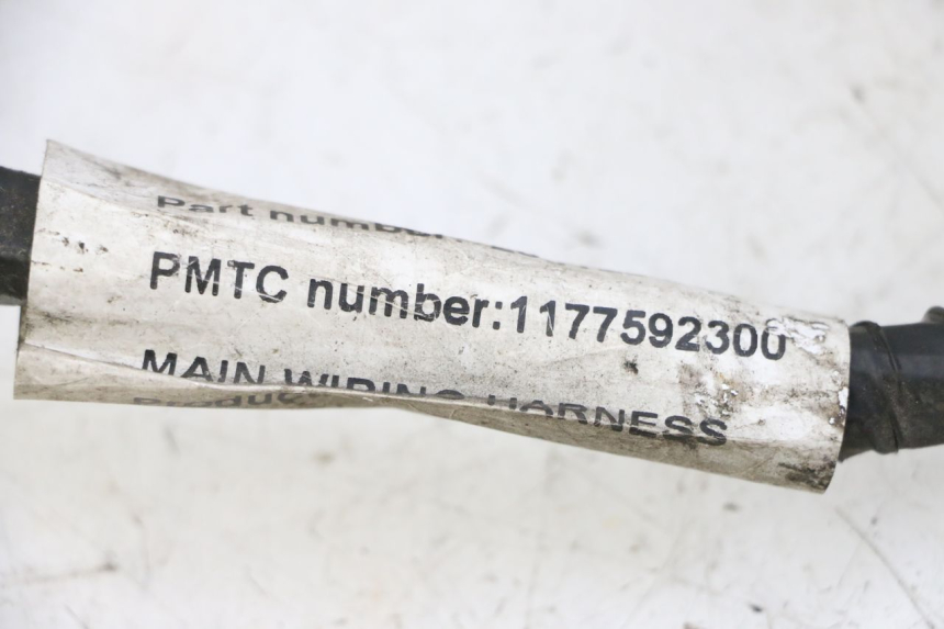 photo de FAISCEAU PEUGEOT VIVACITY NEW 4T 50 (2008 - 2017) - Marquages et références