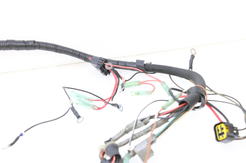 photo de FAISCEAU YAMAHA WAVE RUNNER GP R 1200 (2000 - 2003) - Focus structure