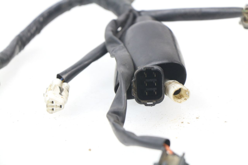 photo de FAISCEAU YAMAHA WR-F WRF 250 (2007 - 2011) - Gros plan technique