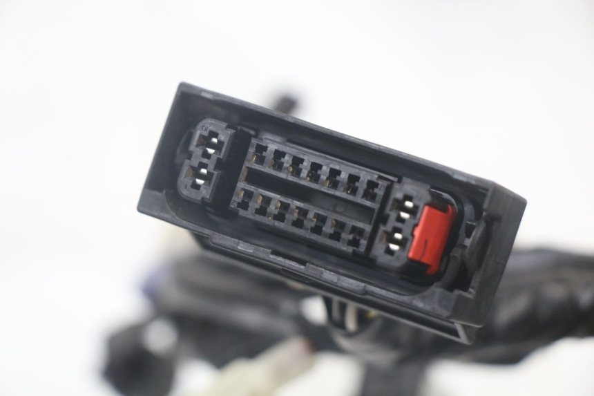 photo de FAISCEAU YAMAHA XMAX X-MAX ABS 125 (2017 - 2020) - Zoom composants