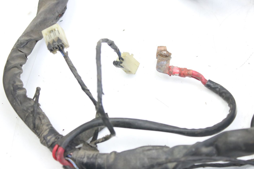 photo de FAISCEAU PIAGGIO X9 EVOLUTION 125 (2003 - 2007) - Zoom composants